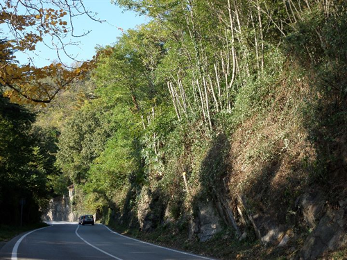 Pulizia terreni e regimazione acque adiacenti vie pubbliche